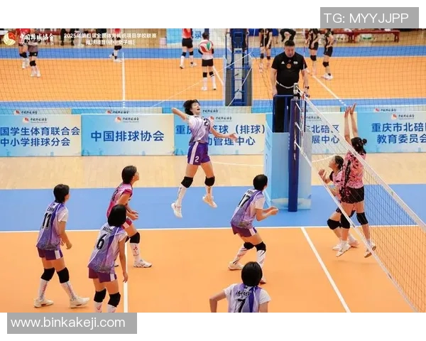 深度对话：陈丽如何在排球世界中追寻梦想与挑战自我